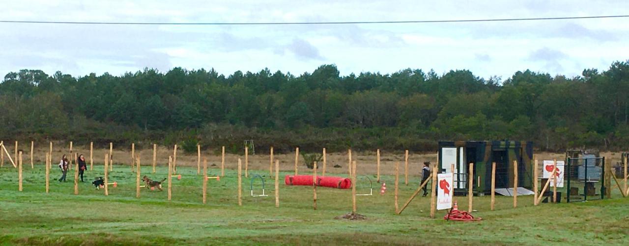 Domaine Des Bois Argentes Acomodação com café da manhã Saugirard Exterior foto